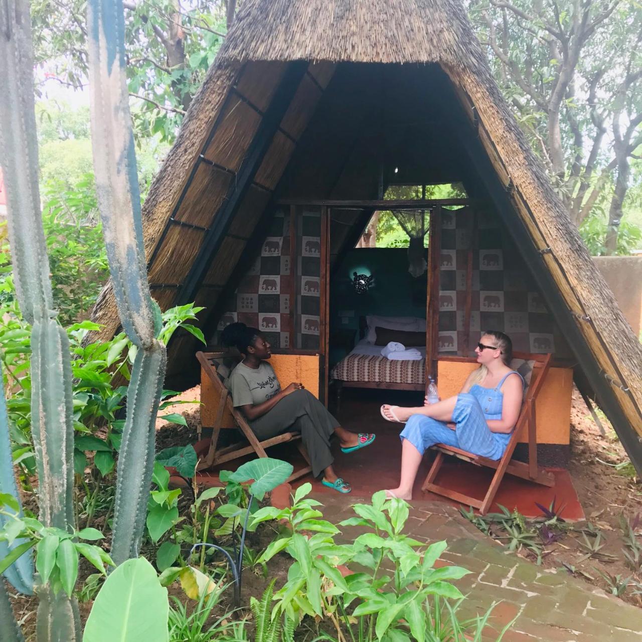 Jollyboys Backpackers Hostel ลิฟวิงสโตน ภายนอก รูปภาพ